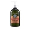 L'OCCITANE - Aromachologie Intensive Repair Shampoo (Damaged Hair)  17SH500G18 500ml/16.9oz