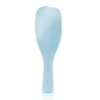 TANGLE TEEZER - The Wet Detangling Fine & Fragile Hair Brush - # Mint    TWD-FF-ML-010319 1pc