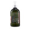 L'OCCITANE - Aromachologie Intensive Repair Shampoo (Damaged Hair)  17SH500G18 500ml/16.9oz